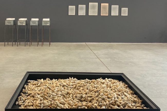 Solo exhibitions