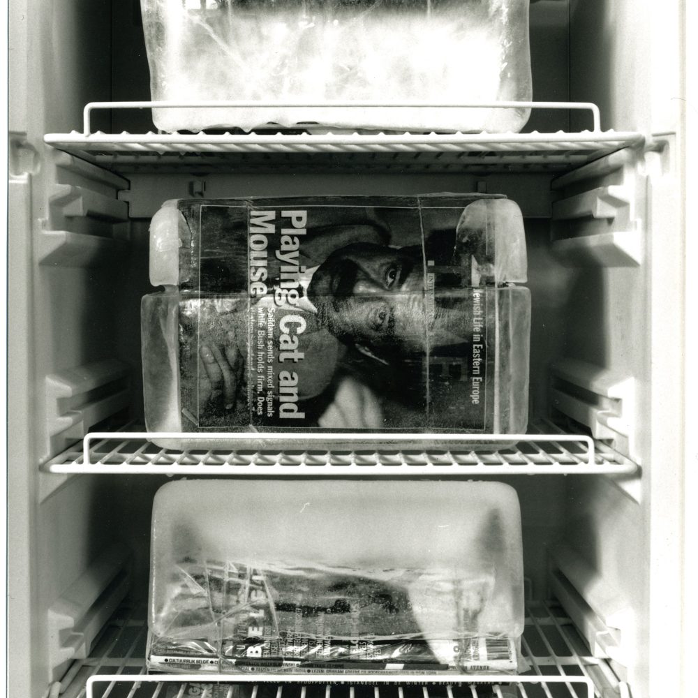 TI-4—Diepvriesbibliotheek–1991–Aqua-nostra–1991-detail-